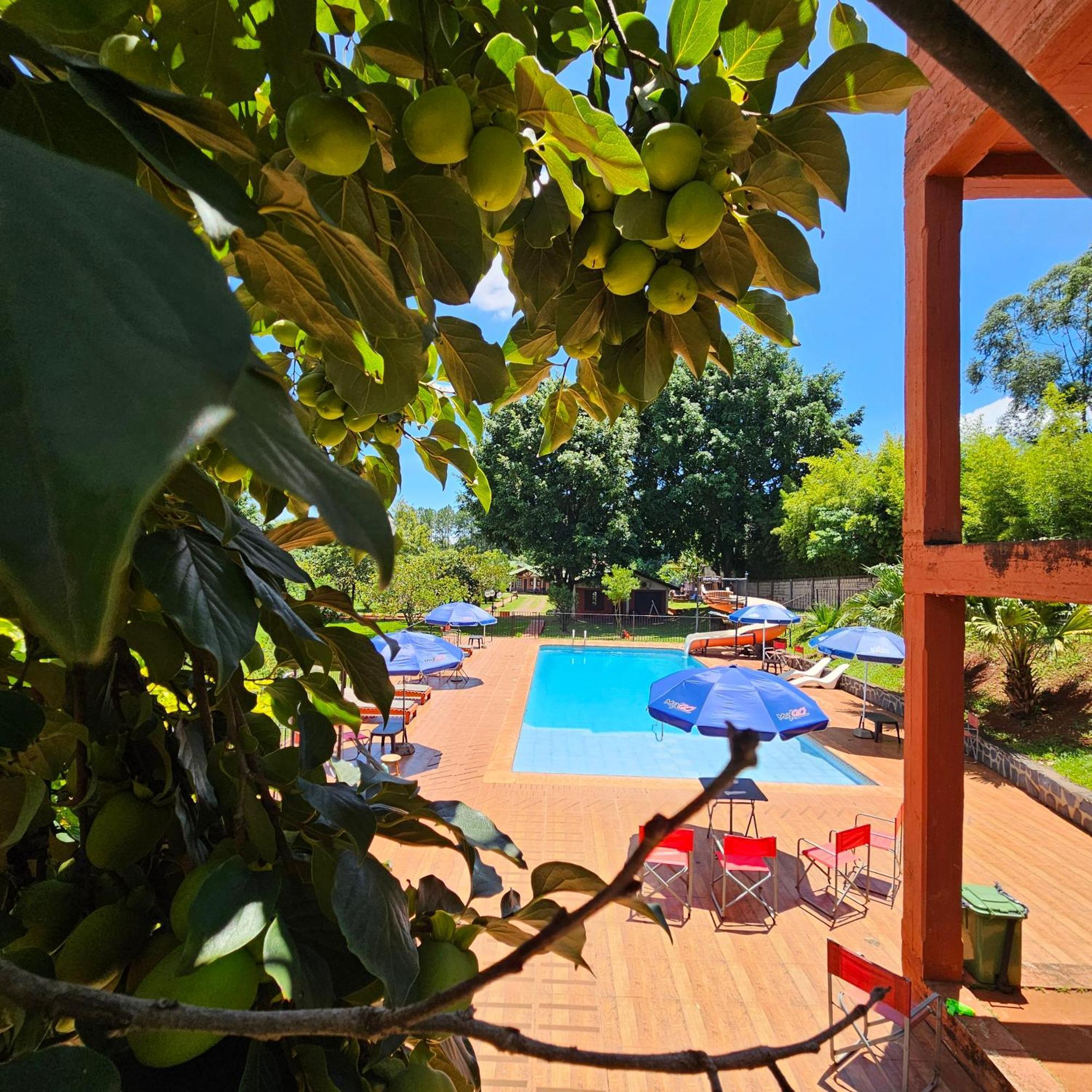 Cabanas El Refugio Del Mensu Puerto Iguazú Exterior foto