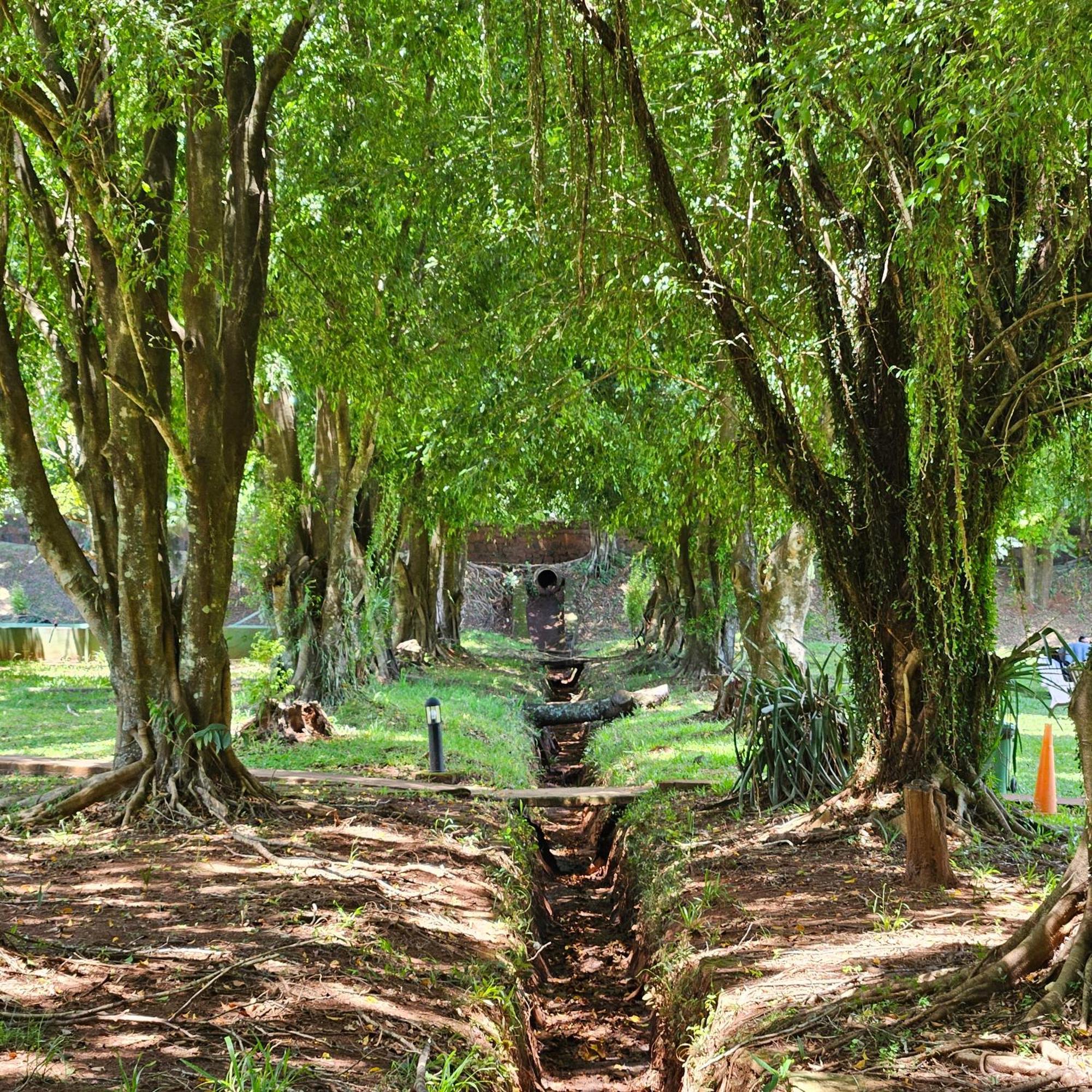 Cabanas El Refugio Del Mensu Puerto Iguazú Exterior foto
